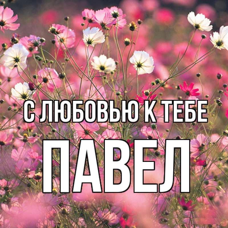 Картинка С любовью к тебе, Павел