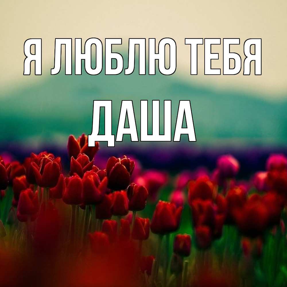 Открытка  с именем. Даша, Я люблю тебя  