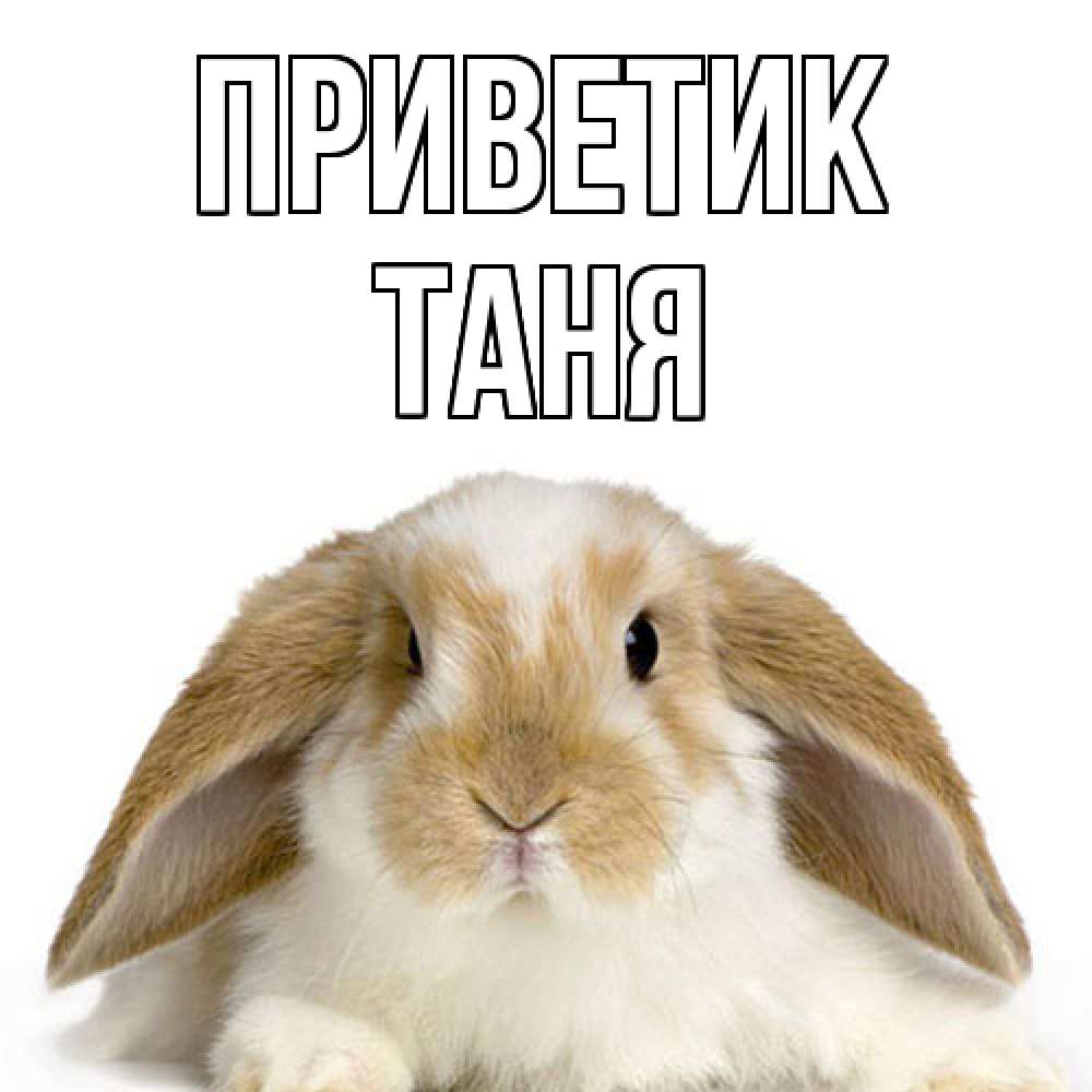 Открытка  с именем. Таня, приветик  