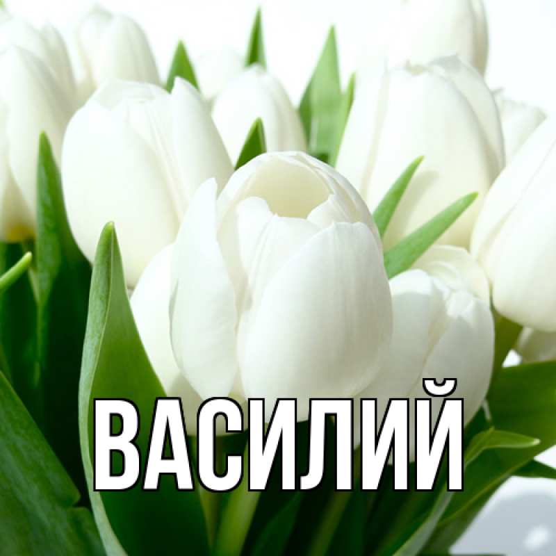 Картинка  с именем , Василий