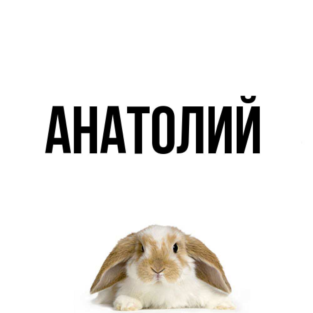 Открытка  с именем. Анатолий, Главная  