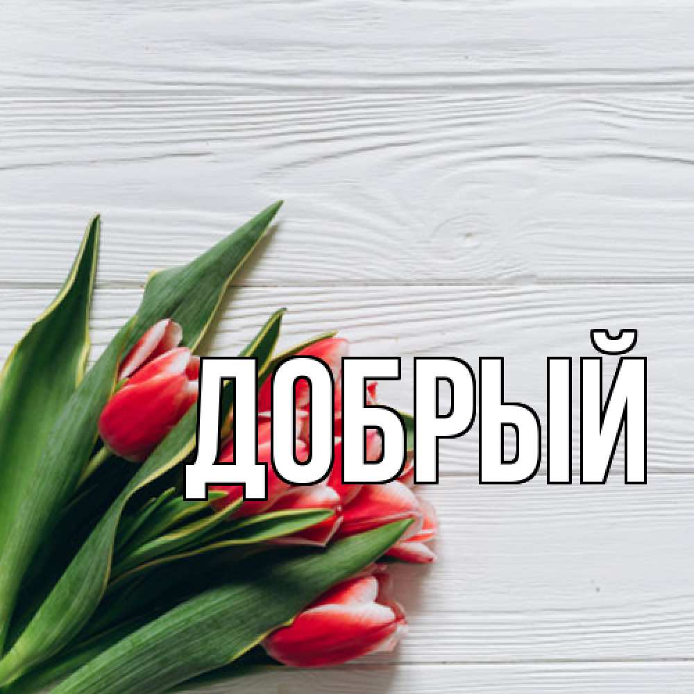 Открытка  с именем. Добрый, Главная  