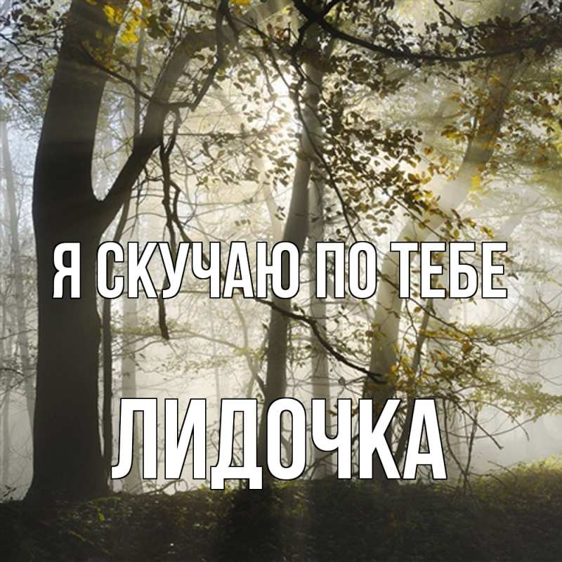 Картинка Я скучаю по тебе, Лидочка
