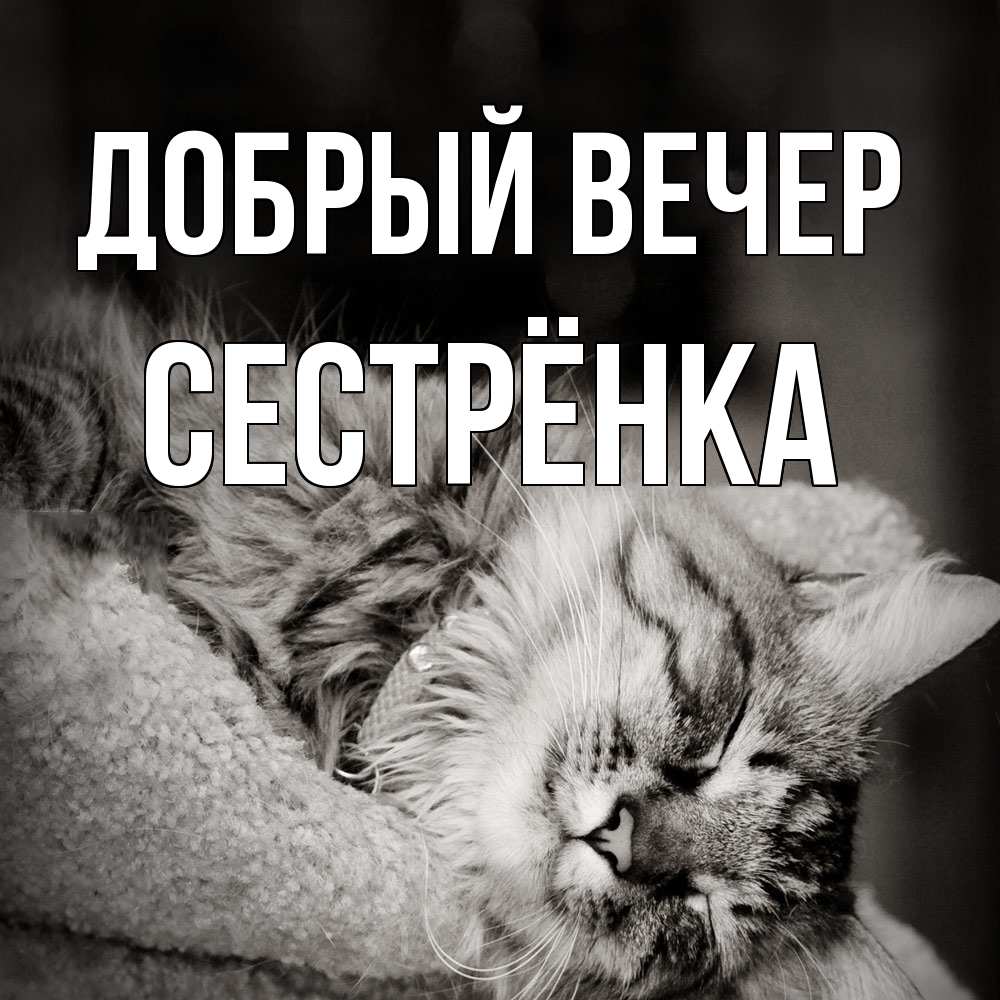 Открытка  с именем. Сестрёнка, Добрый вечер  
