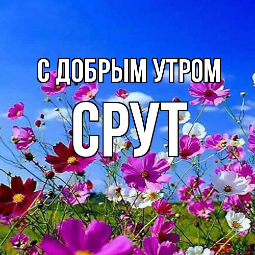 Открытка  с именем. срут, С добрым утром  