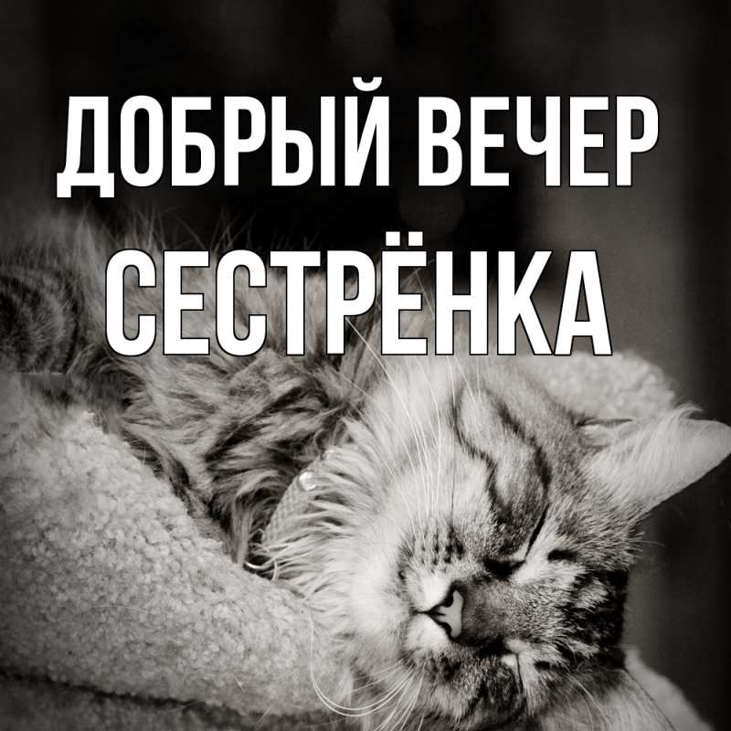 Картинка Добрый вечер, Сестрёнка