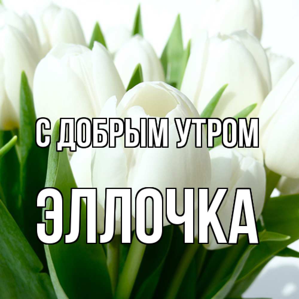 Открытка  с именем. Эллочка, С добрым утром  