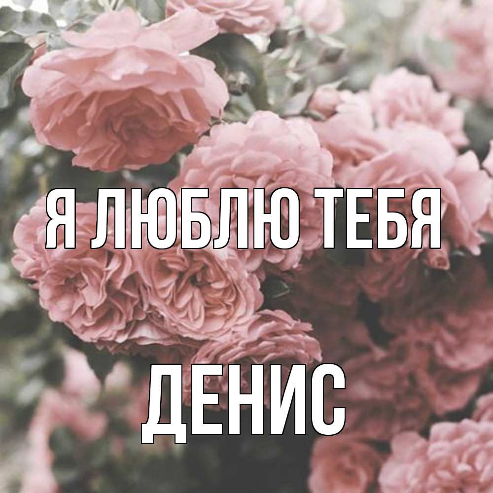 Открытка  с именем. Денис, Я люблю тебя  