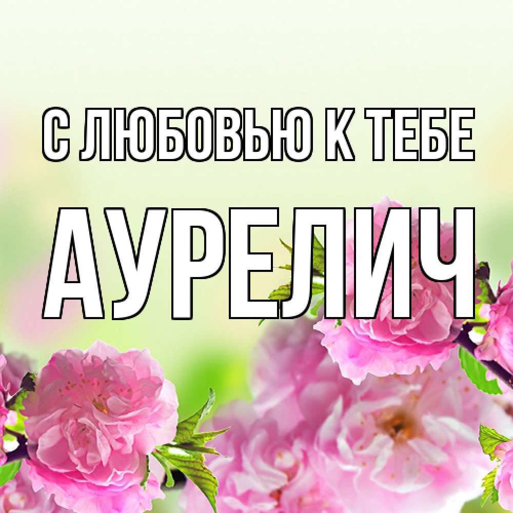 Открытка  с именем. Аурелич, С любовью к тебе  