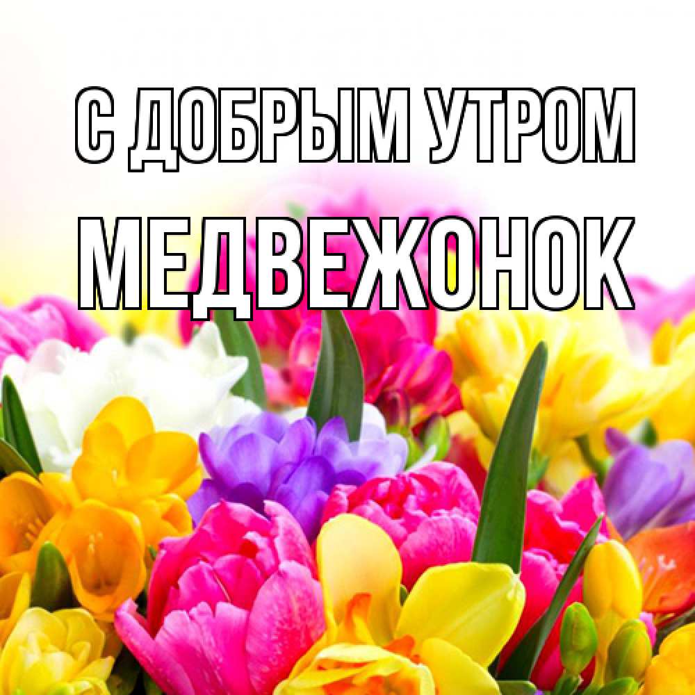 Открытка  с именем. Медвежонок, С добрым утром  