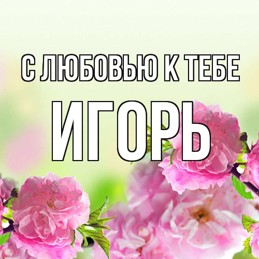 Открытка  с именем. Игорь, С любовью к тебе  