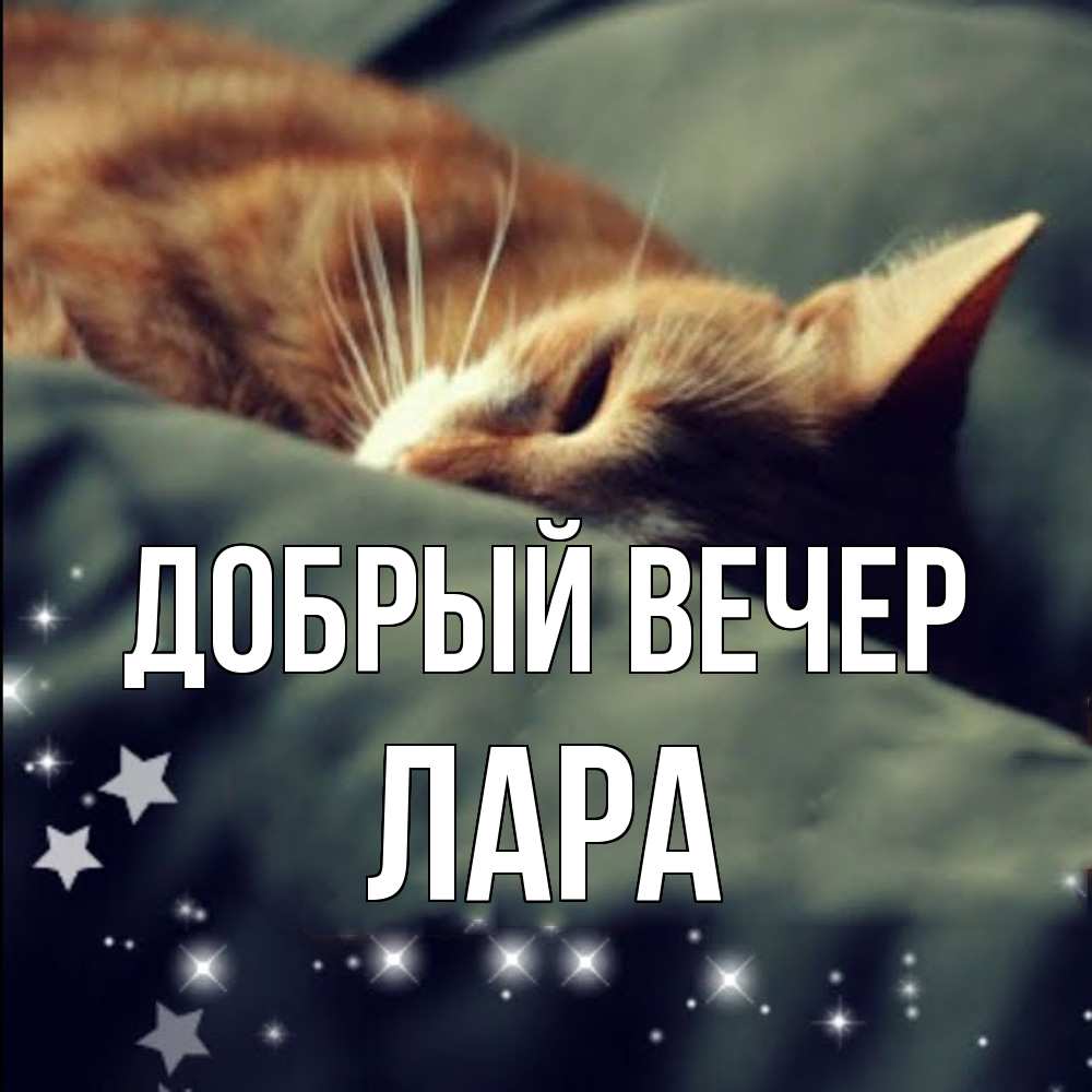 Открытка  с именем. Лара, Добрый вечер  