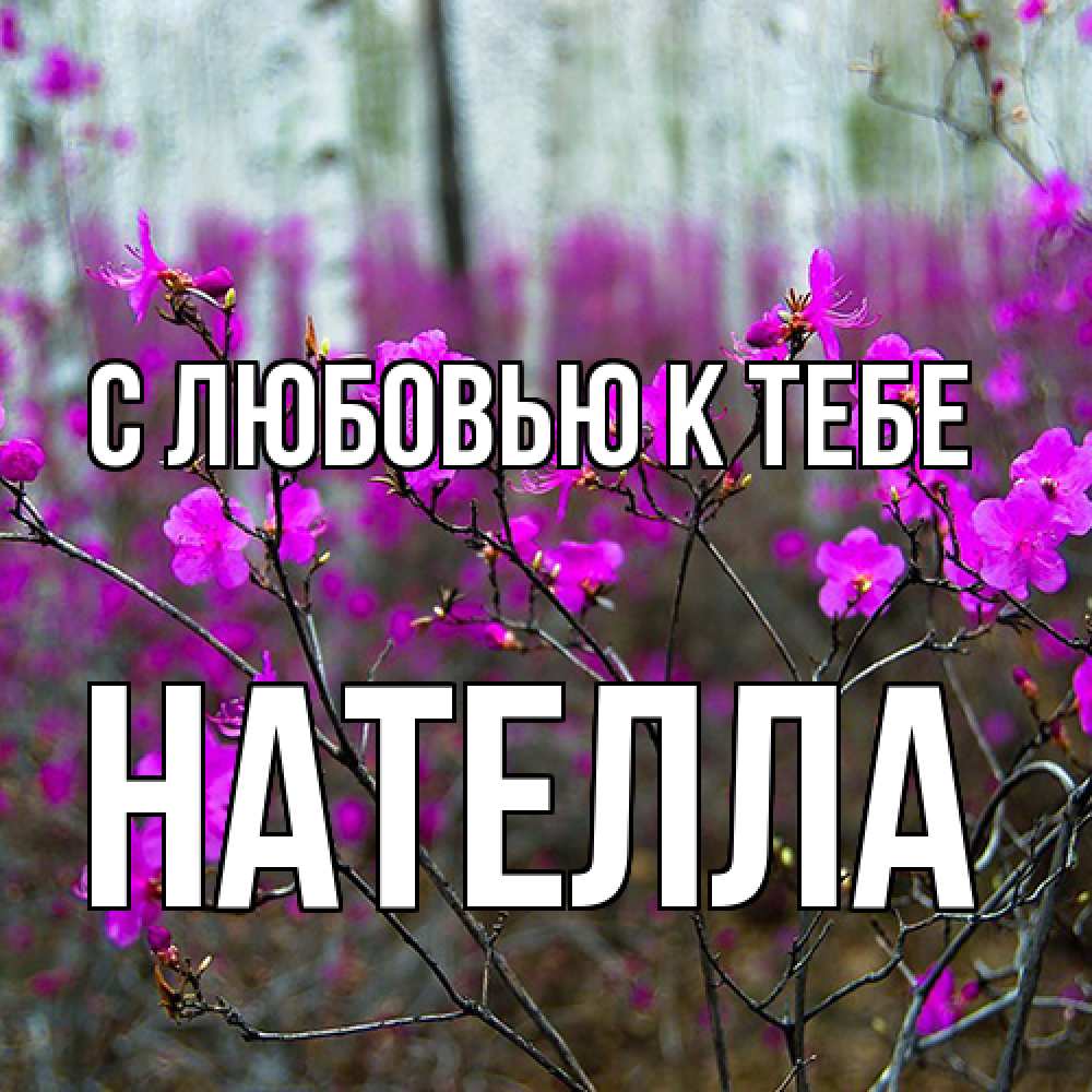 Открытка  с именем. Нателла, С любовью к тебе  