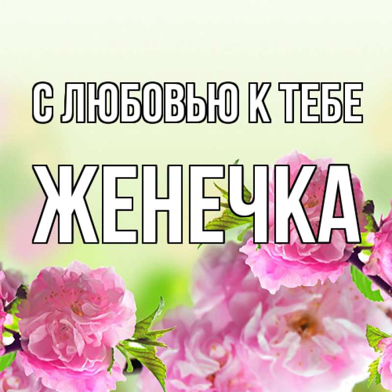 Картинка С любовью к тебе, Женечка