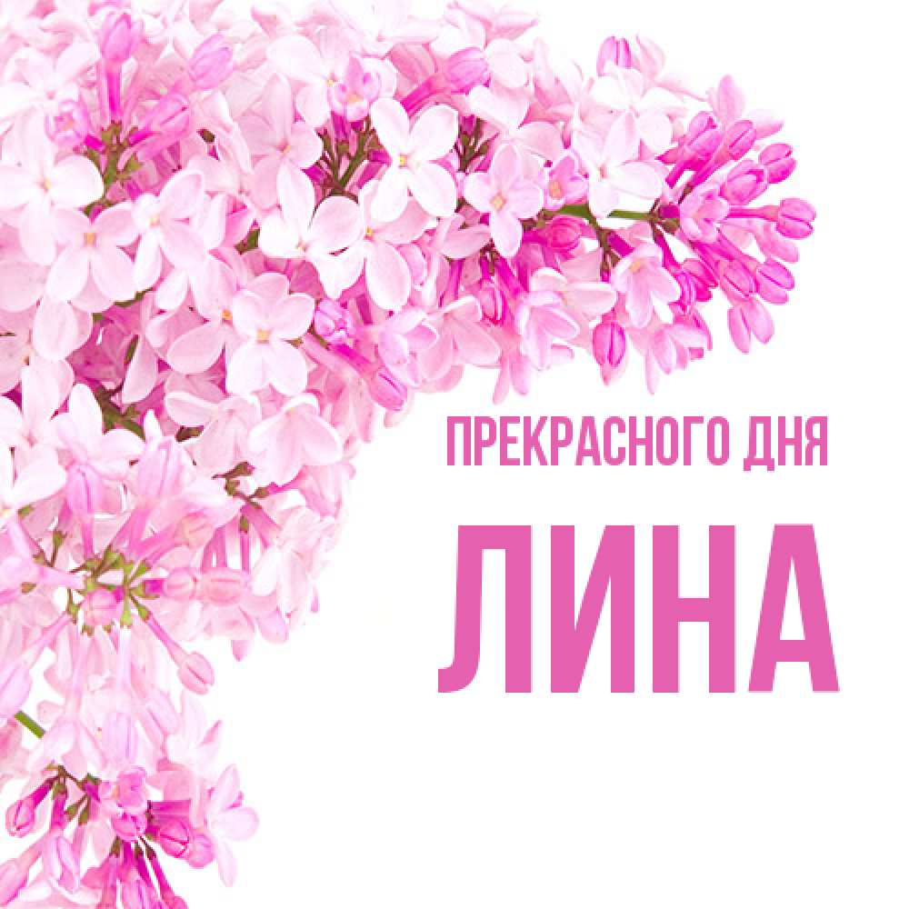 Открытка  с именем. Лина, Прекрасного дня  