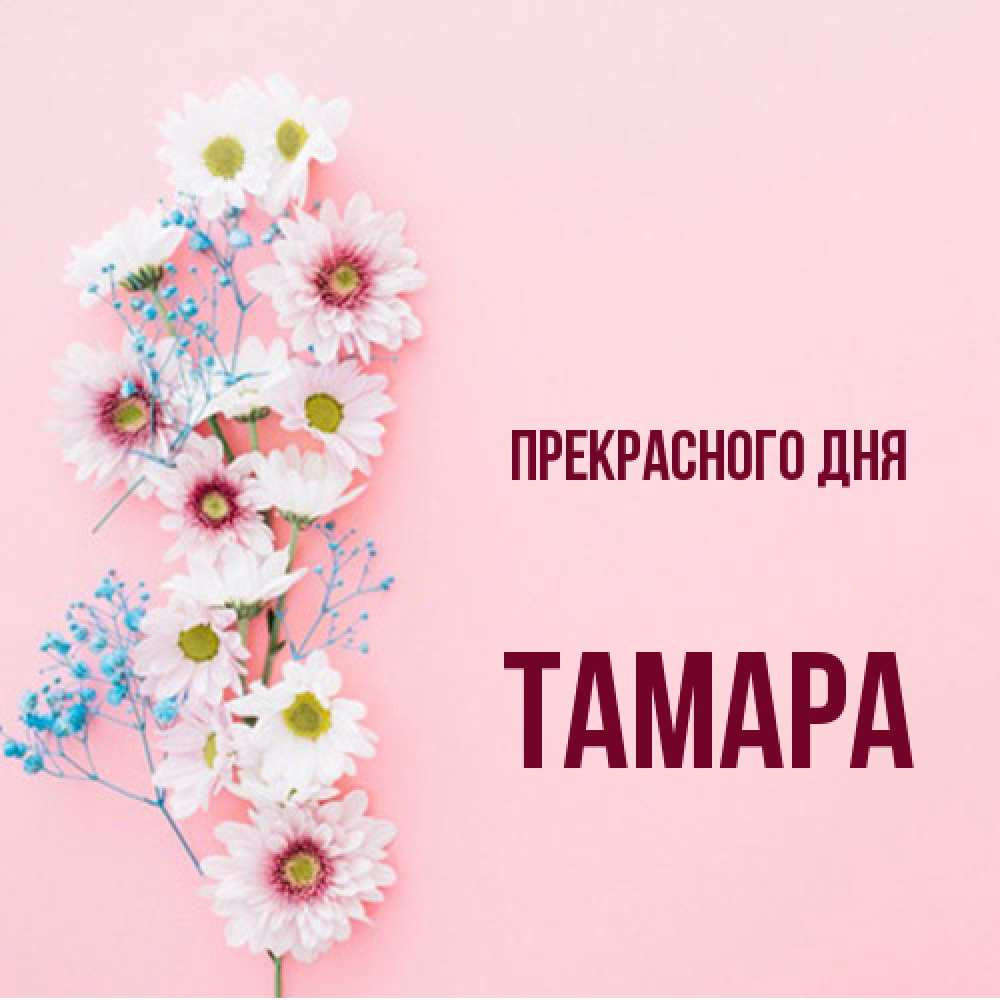 Открытка  с именем. Тамара, Прекрасного дня  