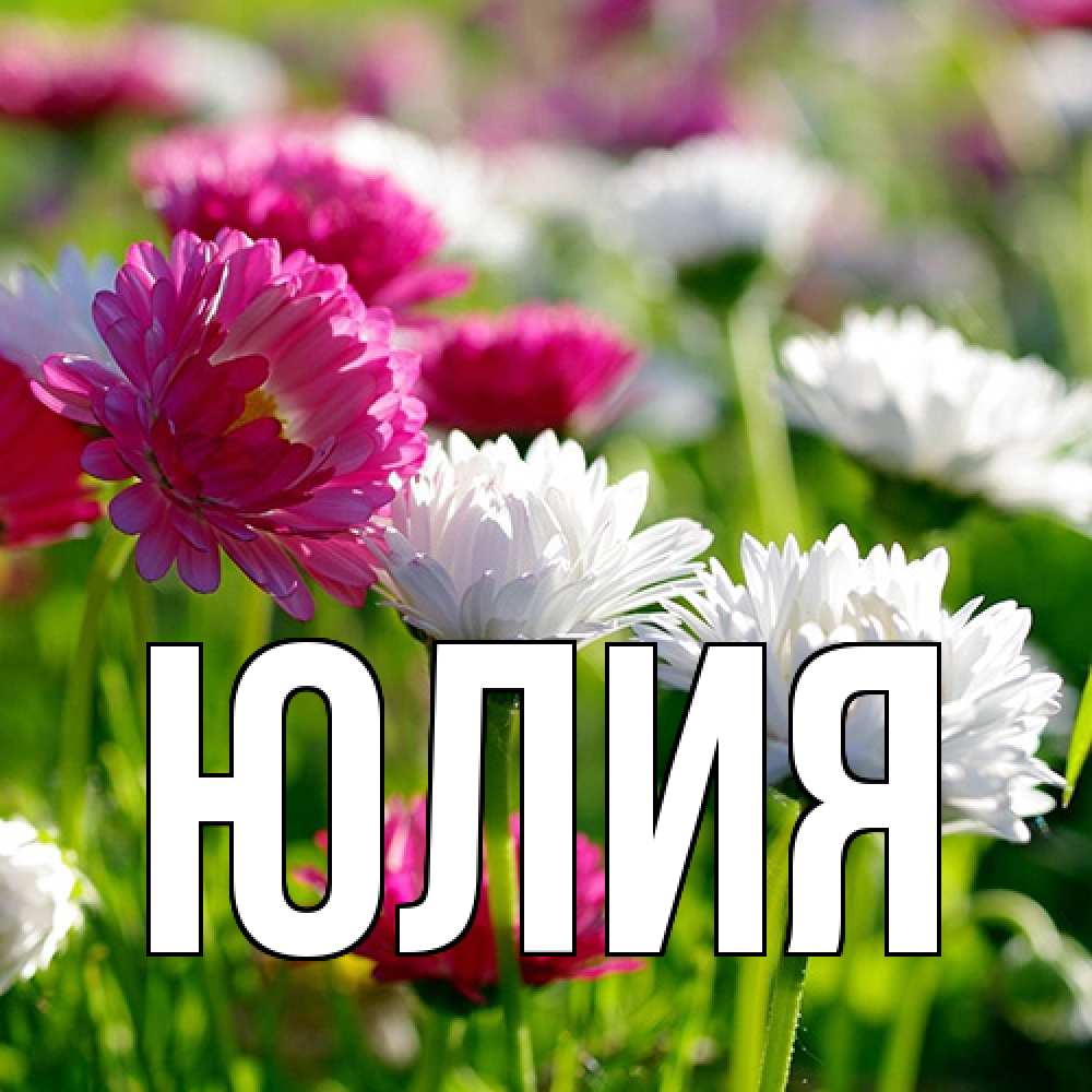 Открытка  с именем. Юлия, Главная  