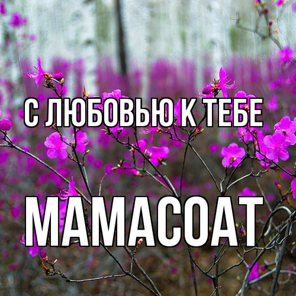 Открытка  с именем. Мамасоат, С любовью к тебе  