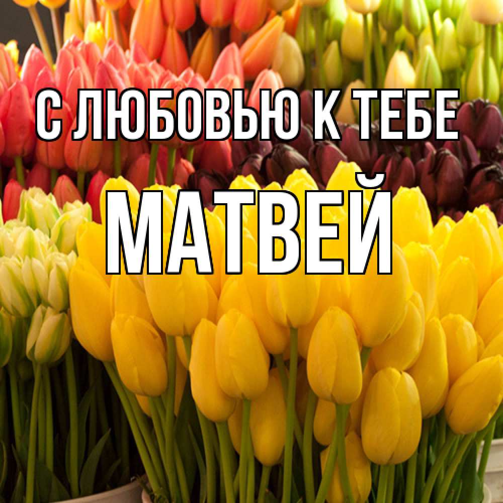 Открытка  с именем. Матвей, С любовью к тебе  