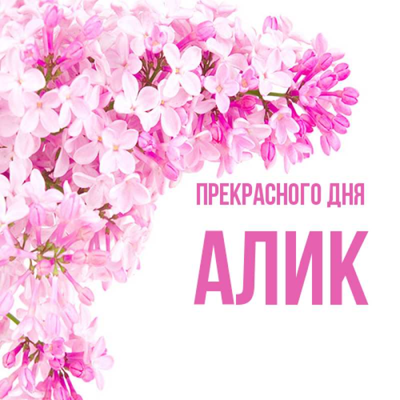 Картинка Прекрасного дня, Алик