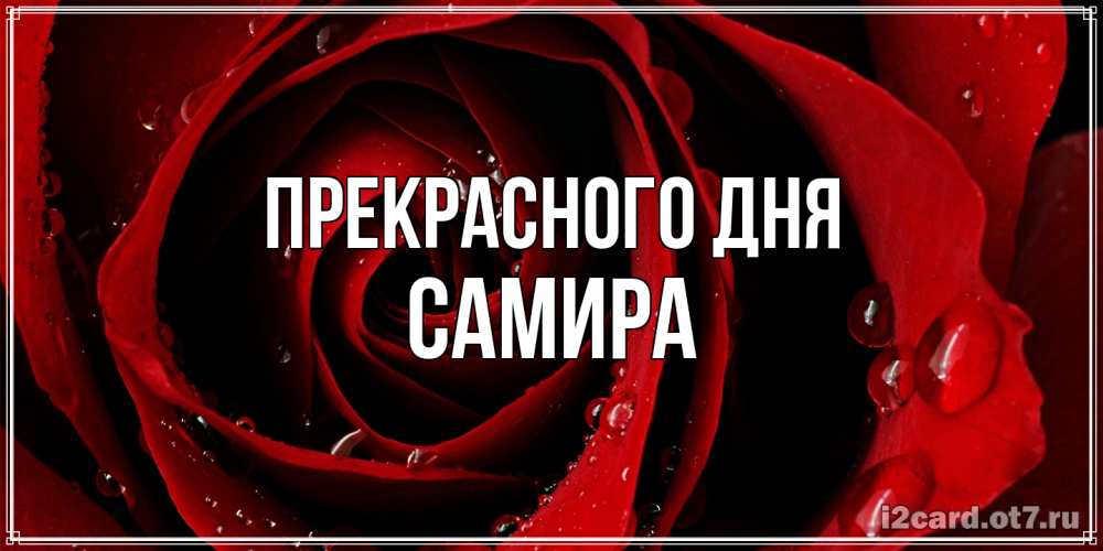 Открытка  с именем. Самира, Прекрасного дня  