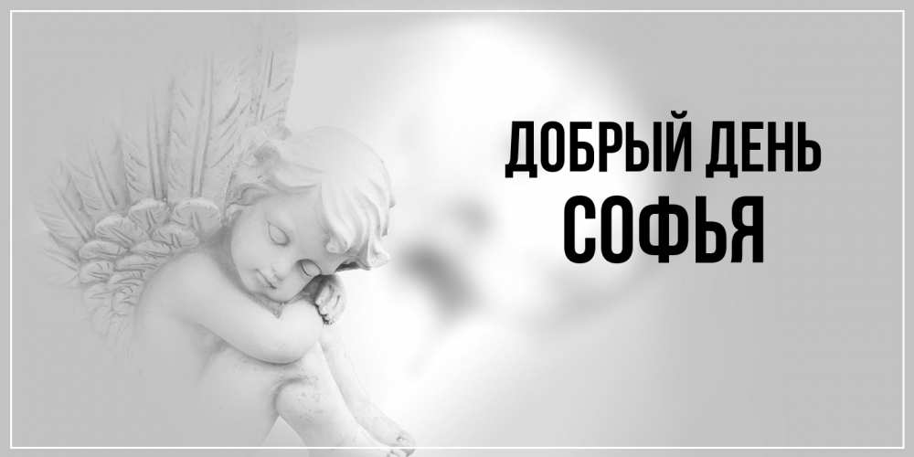 Открытка  с именем. Софья, Добрый день  