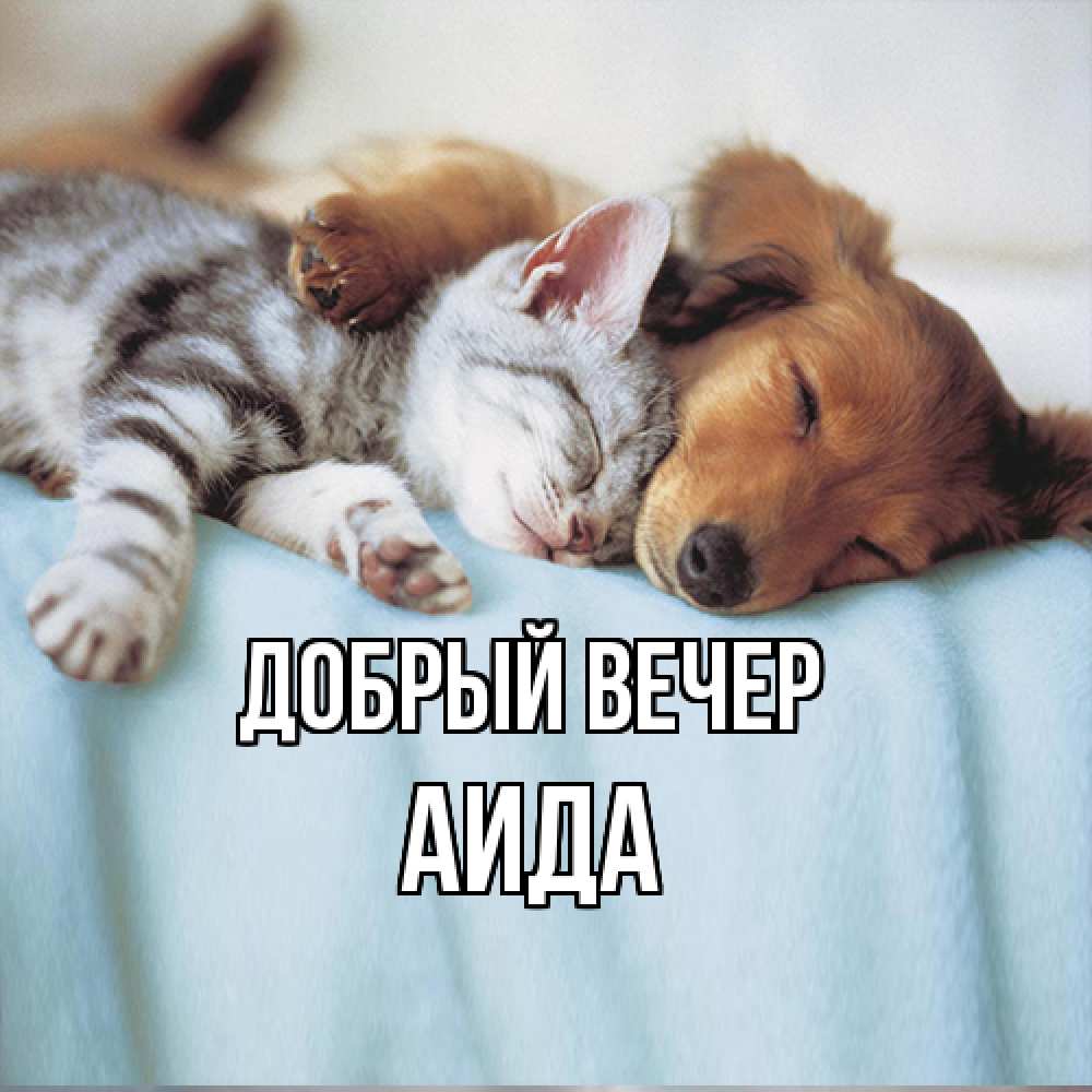 Открытка  с именем. Аида, Добрый вечер  