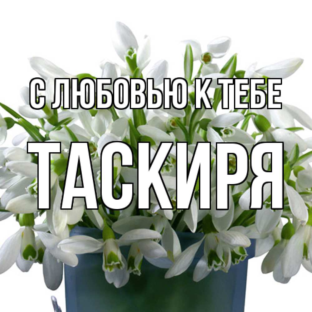 Открытка  с именем. Таскиря, С любовью к тебе  