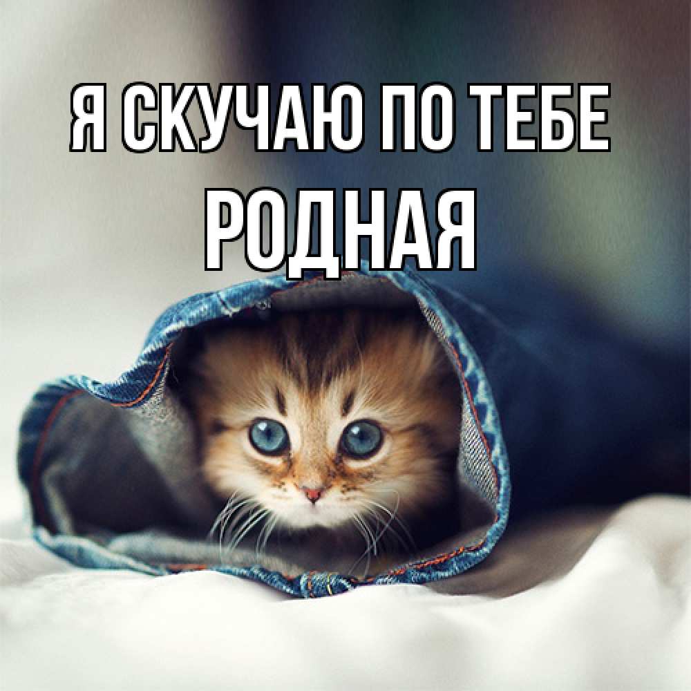 Открытка  с именем. Родная, Я скучаю по тебе  