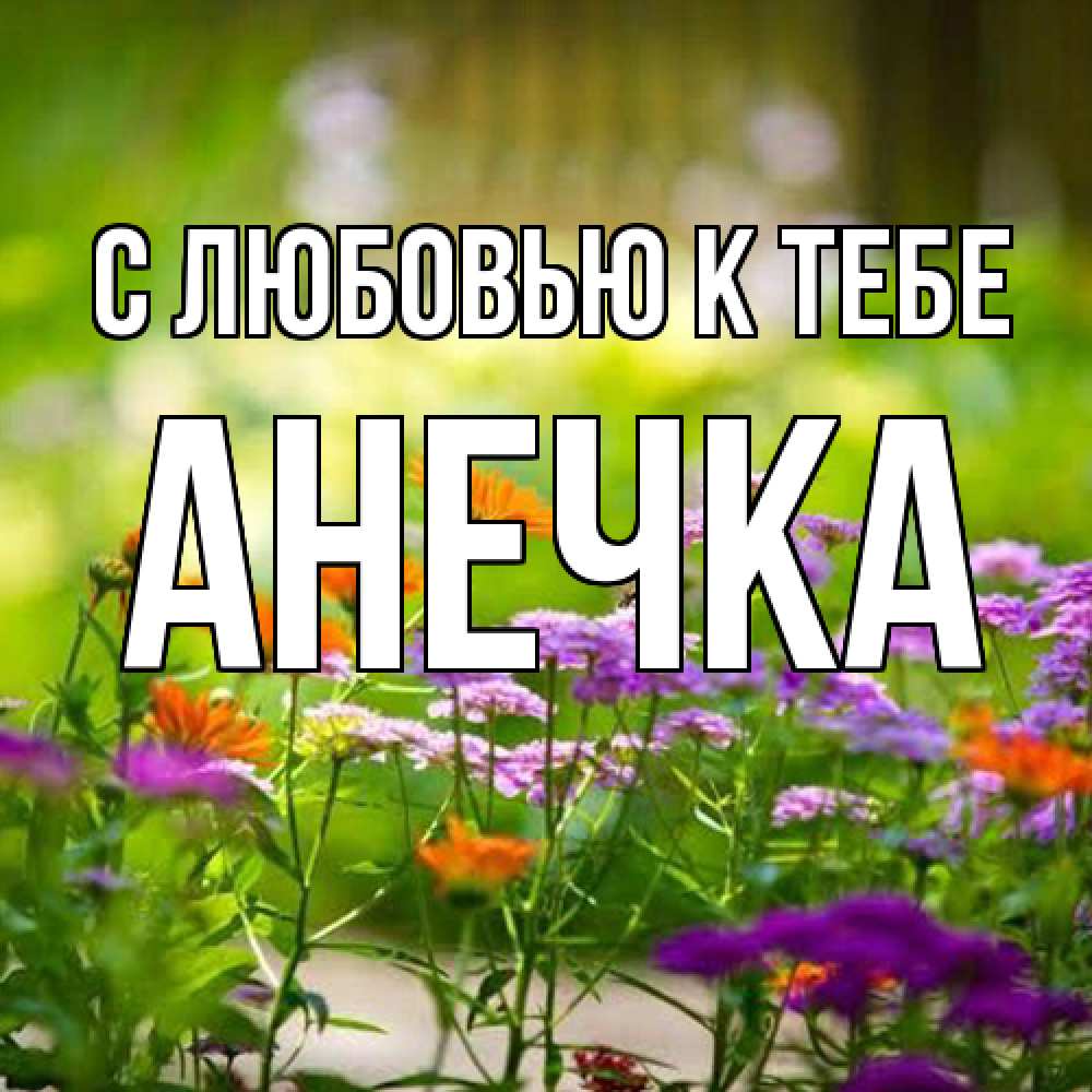 Открытка  с именем. анечка, С любовью к тебе  