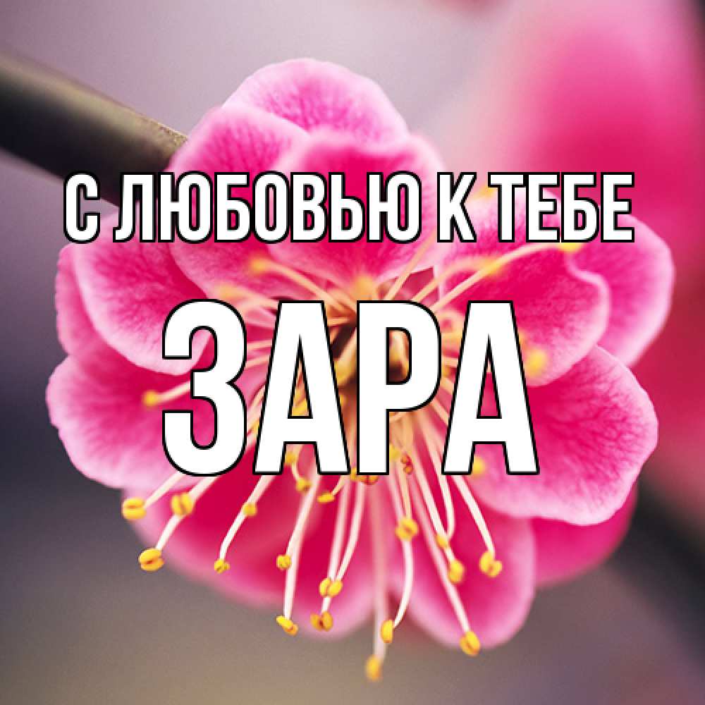 Открытка  с именем. Зара, С любовью к тебе  