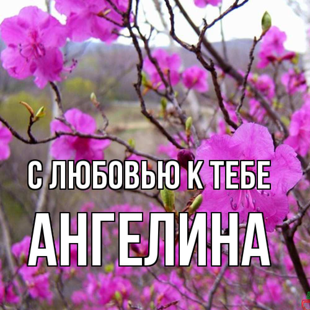 Открытка  с именем. Ангелина, С любовью к тебе  
