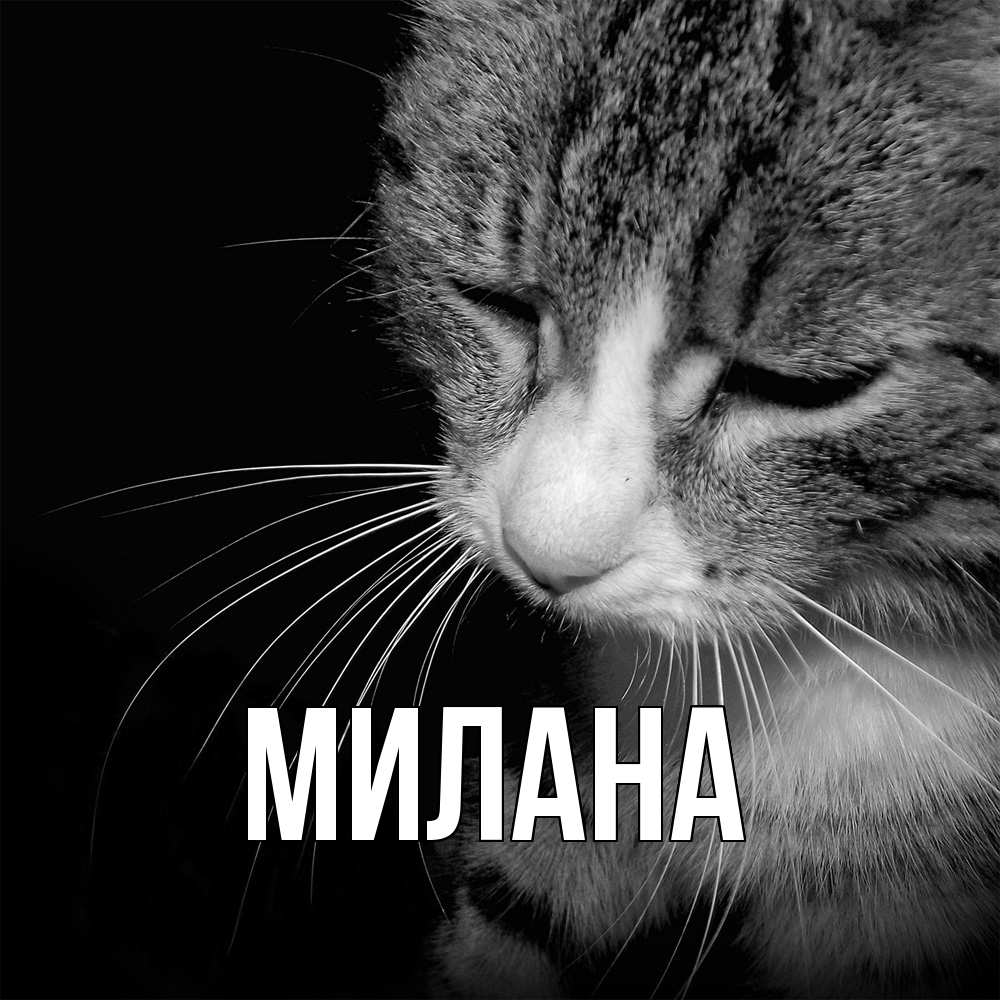 Открытка  с именем. Милана, Главная  