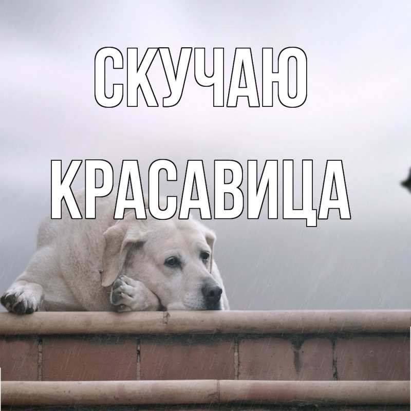 Картинка Скучаю, Красавица