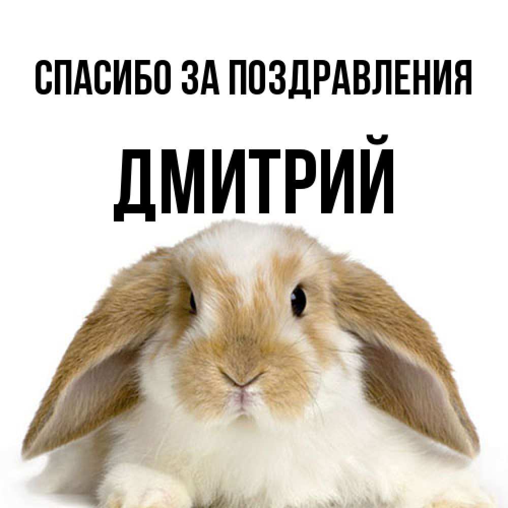 Открытка  с именем. Дмитрий, Спасибо за поздравления  