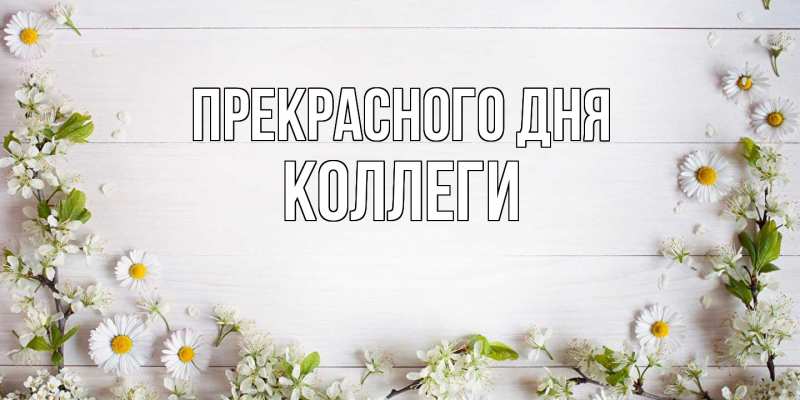 Картинка Прекрасного дня, коллеги