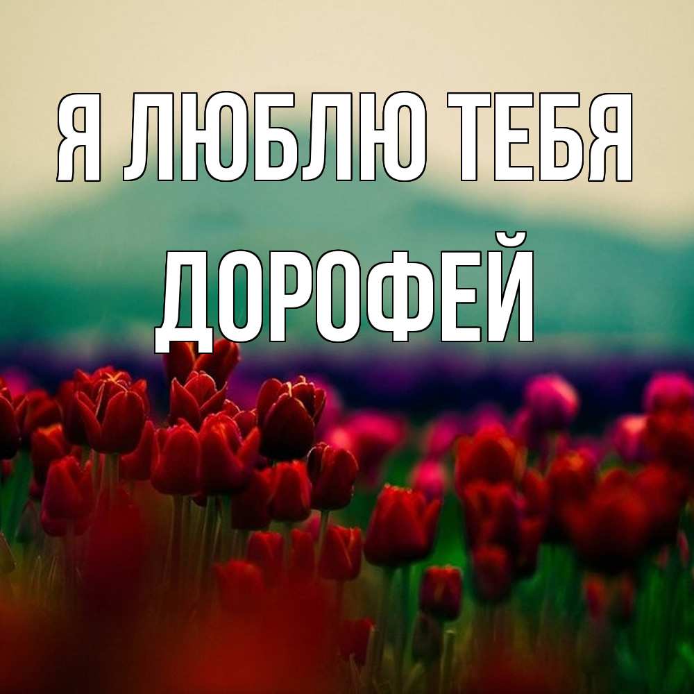 Открытка  с именем. Дорофей, Я люблю тебя  