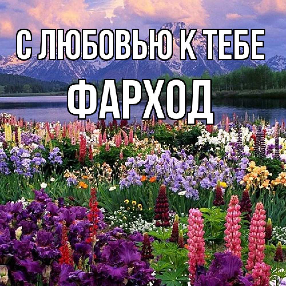 Открытка  с именем. Фарход, С любовью к тебе  