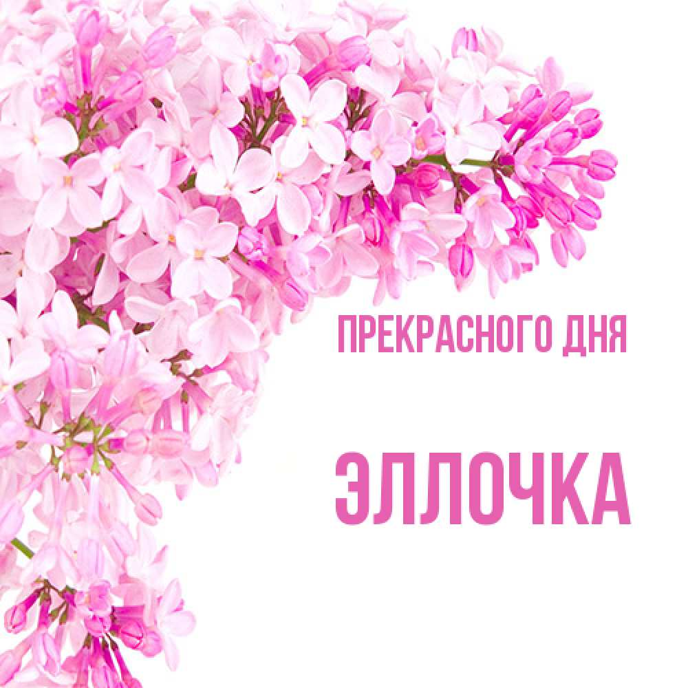 Открытка  с именем. Эллочка, Прекрасного дня  