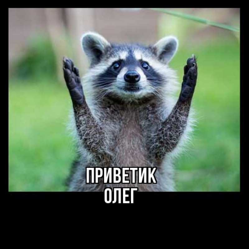 Картинка приветик, Олег