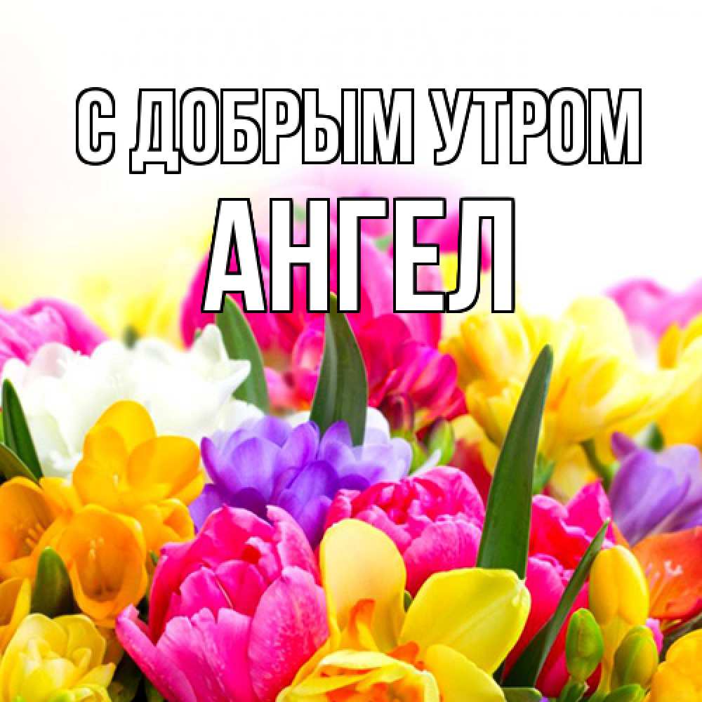С Добрым Утром Олечка Открытки