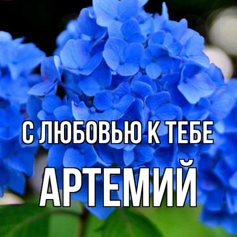 Открытка  с именем. Артемий, С любовью к тебе  