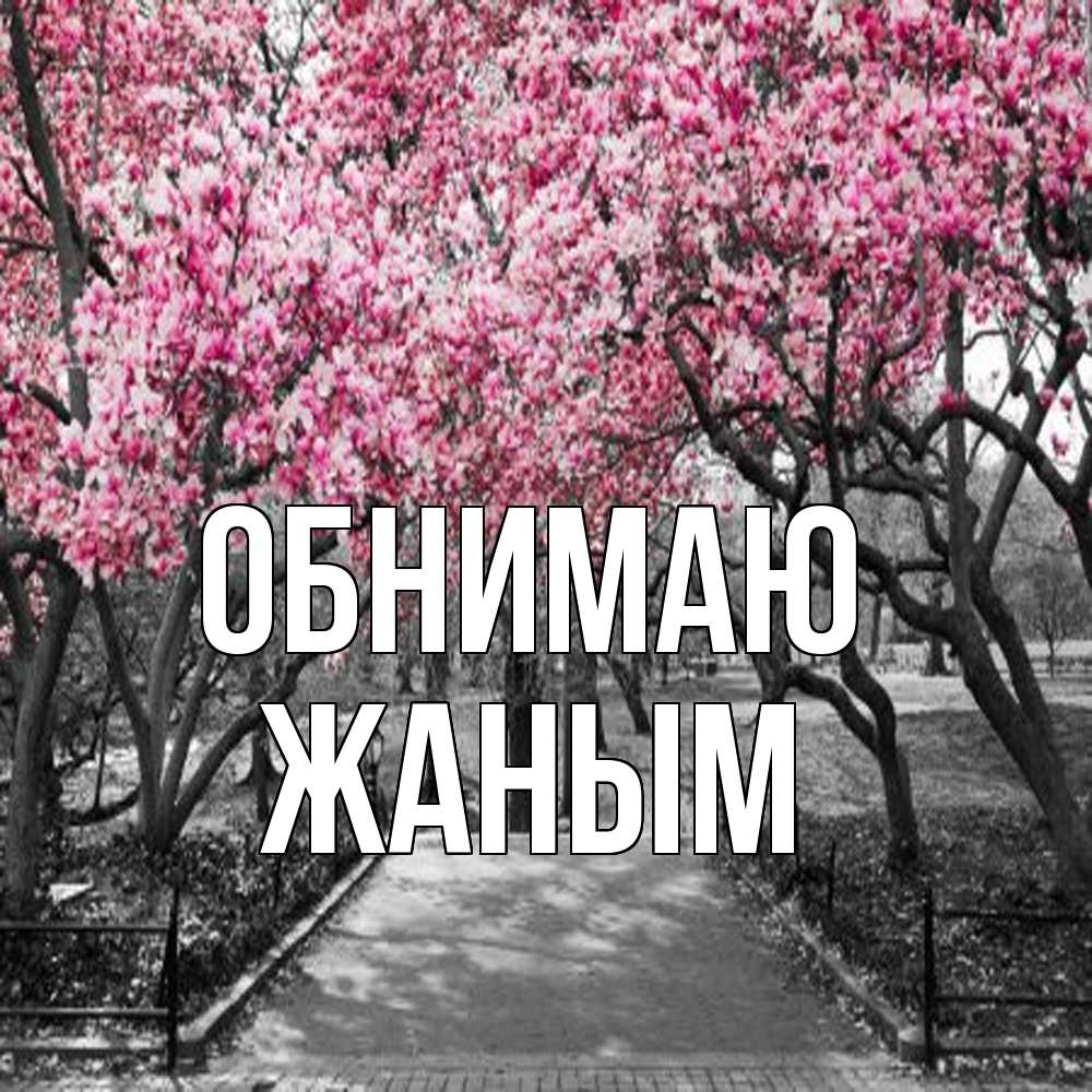 Открытка  с именем. Жаным, Обнимаю  