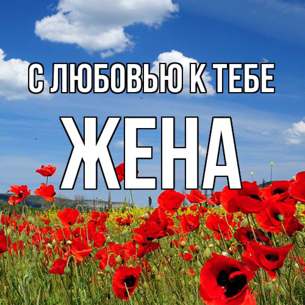 Открытка  с именем. Жена, С любовью к тебе  