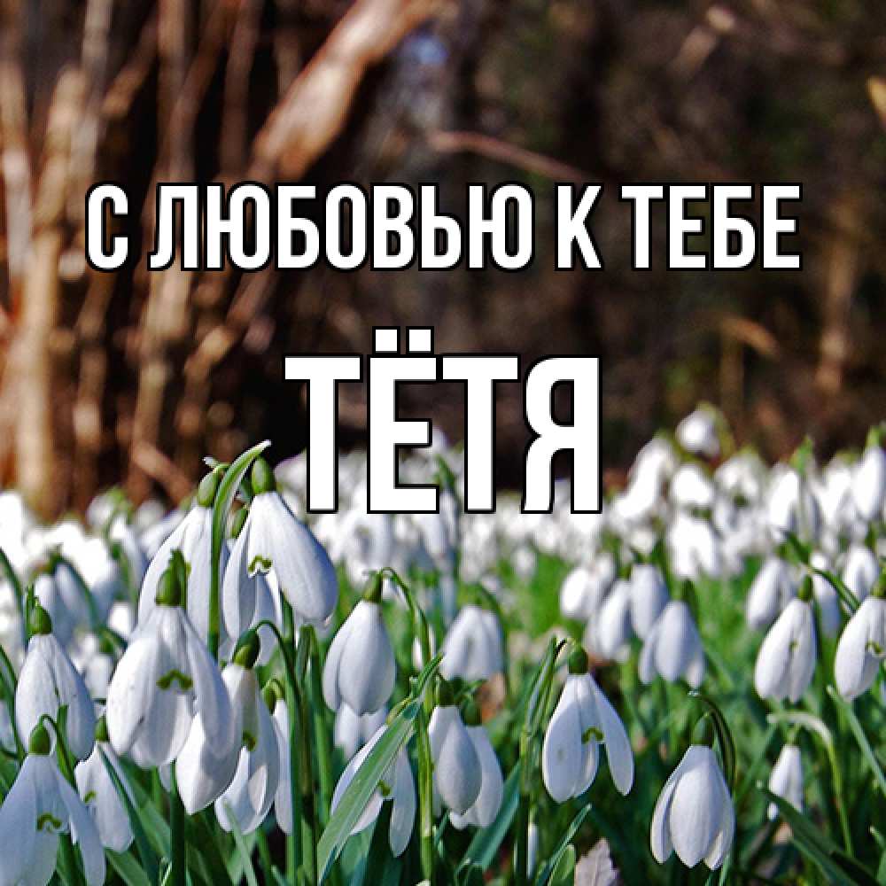 Открытка  с именем. Тётя, С любовью к тебе  