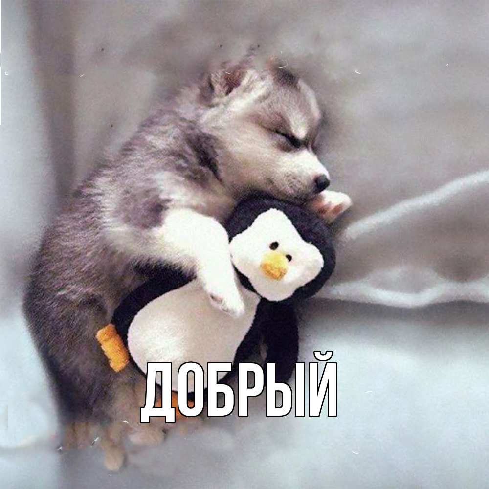 Открытка  с именем. Добрый, Главная  