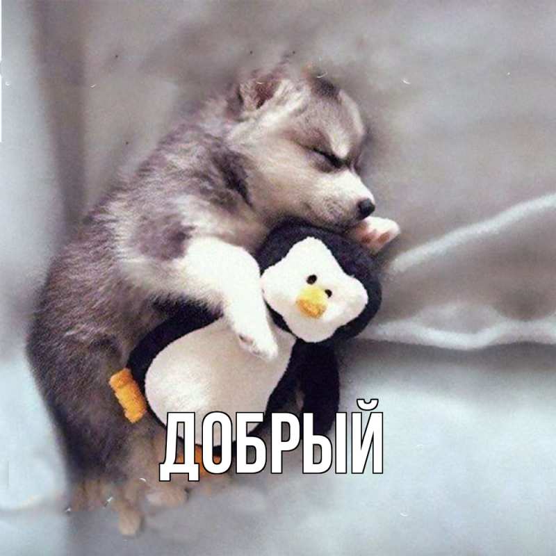 Картинка  с именем , Добрый