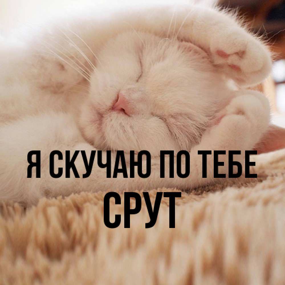 Открытка  с именем. срут, Я скучаю по тебе  