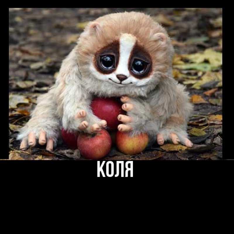 Картинка  с именем , коля