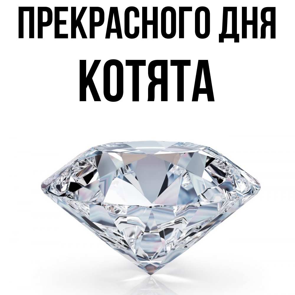 Открытка  с именем. Котята, Прекрасного дня  